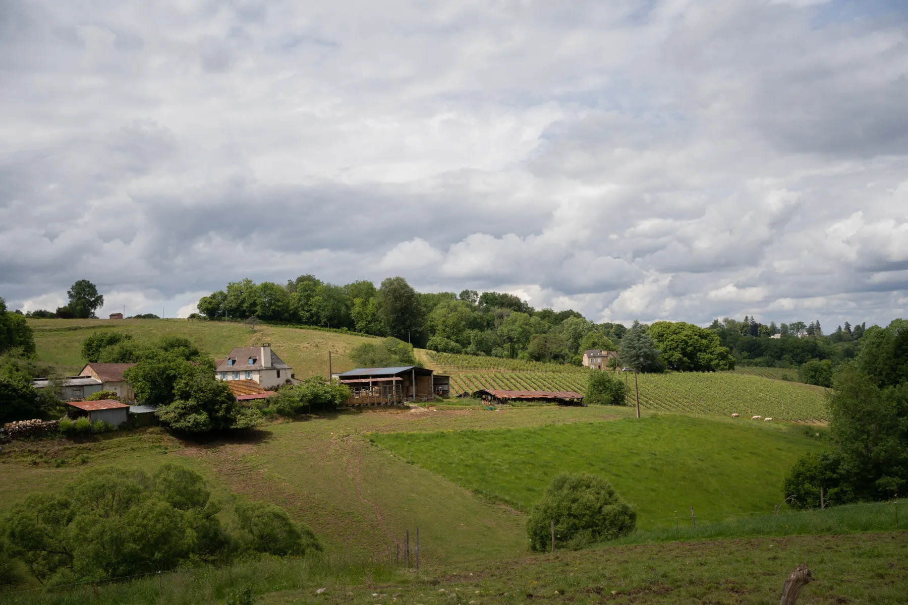 Alentours, coteaux du Jurançon
