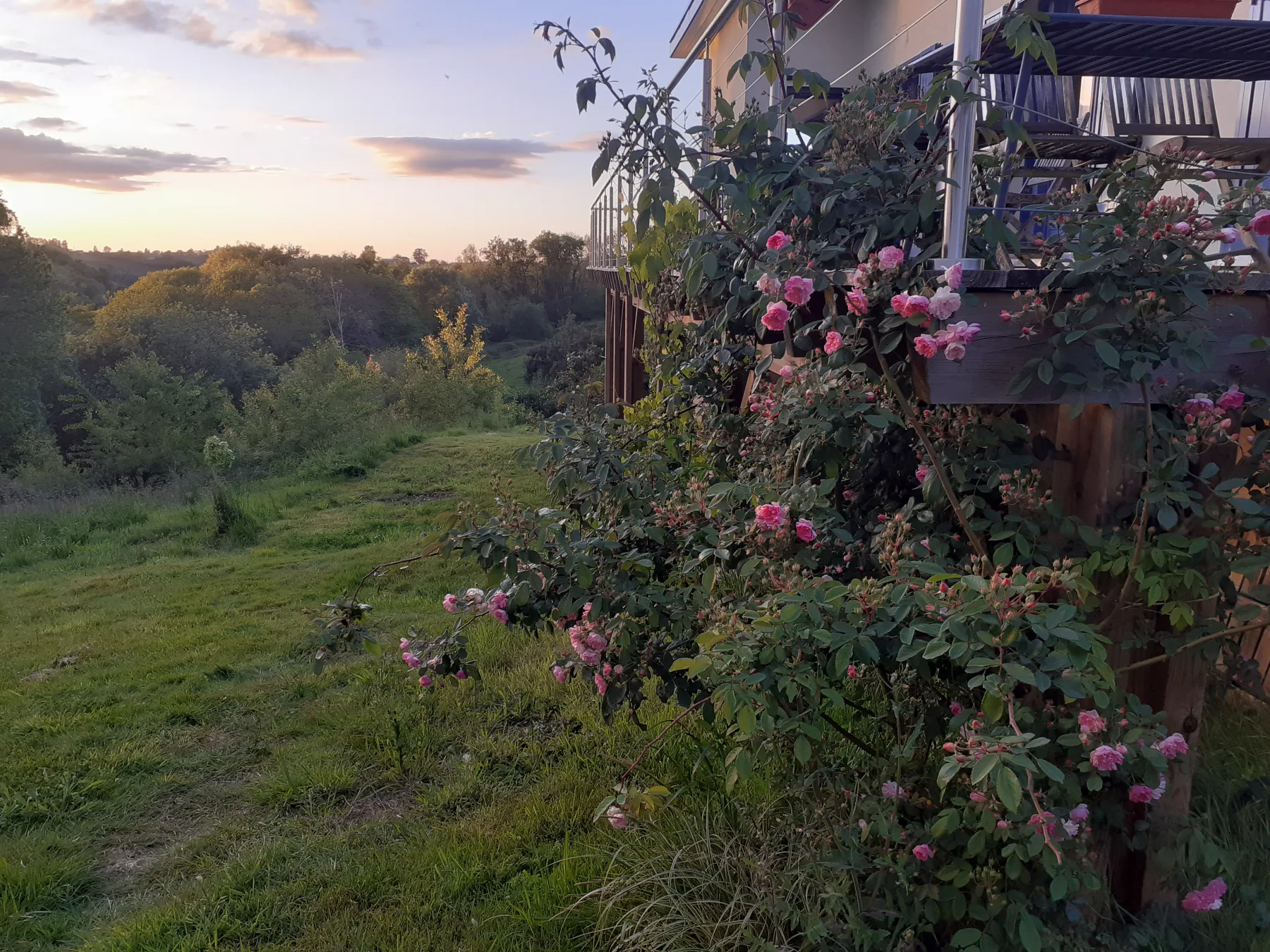 Balcon fleuri